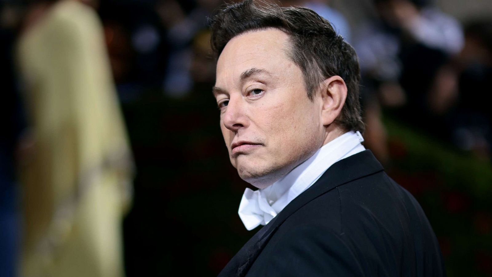 Un nou raport arată că Musk minte despre moartea maimuței pentru testele sale de la Neuralink. Ce spune miliardarul