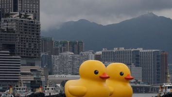 O pereche de rațe uriașe gonflabile încearcă să aducă „fericire dublă” în Hong Kong