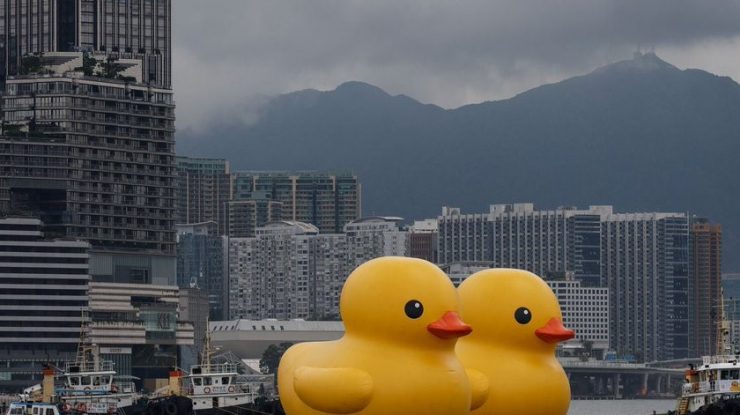 O pereche de rațe uriașe gonflabile încearcă să aducă „fericire dublă” în Hong Kong