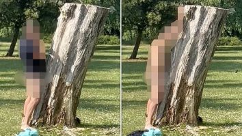 Un bărbat din Marea Britanie a fost arestat pentru că a „încercat să facă sex cu un copac”