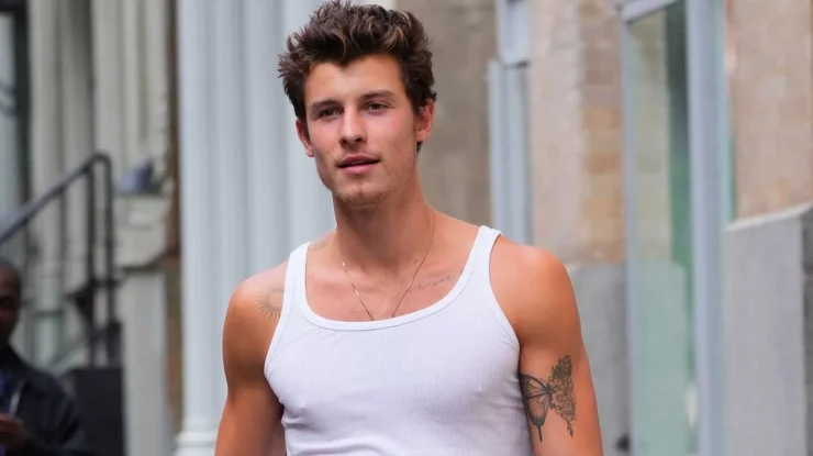 Shawn Mendes, criticat de fani pentru coperta melodiei „Wildfire”: „De ce ar face din asta imaginea lui?”