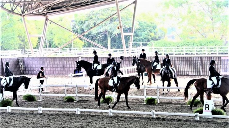 Istoria de peste 180 de ani a curselor de cai din Singapore este pe cale să se încheie. Când va fi organizată ultima întrecere