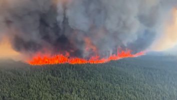 VIDEO. Canada se sufocă. Montreal a devenit cel mai poluat oraș din cauza incendiilor de vegetație