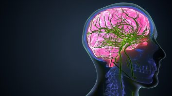 Ce se întâmplă cu creierul tău când îmbătrânești? Descoperirea neurologilor străini