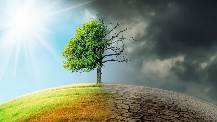 2023 ar putea fi cel mai cald an înregistrat vreodată. Temperaturile globale au crescut în luna iunie la niveluri record