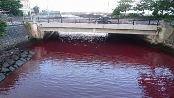 Un aditiv deversat din greșeală de o fabrică de bere din Japonia a colorat apa mării în roșu. Ce spune compania despre acest incident