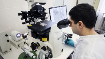 Primii embrioni umani sintetici au fost creați în premieră în laborator din celule stem. „Scopul nu este de a crea viață”