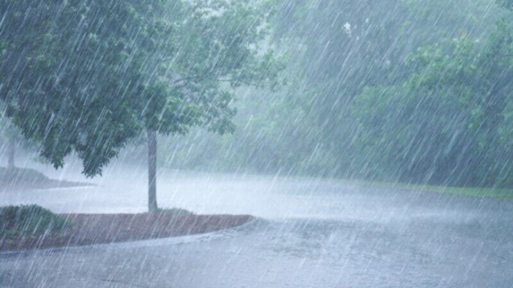 Avertizare RO-Alert de intensificări ale vântului și vijelii pentru București. Până când este valabilă alerta