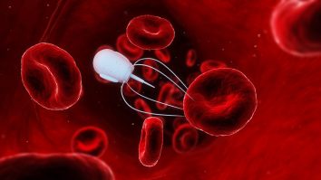 VIDEO. Cum arată robotul minuscul care funcționează ca un animal? Cercetătorii spun că este capabil să efectueze tratamente medicale