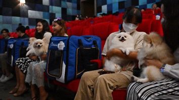 FOTO-VIDEO. Țara în care s-a deschis primul cinematograf unde poți să mergi cu animalul de companie la film