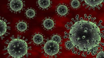 Experții avertizează asupra unor noi schimbări la virusul care provoacă cazuri record de gripă aviară