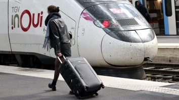 O pisică a încurcat traficul pe Gare de Lyon pentru câteva ore. Ce a făcut compania feroviară pentru a o recupera