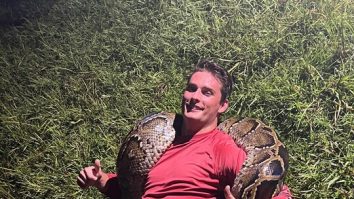 VIDEO. Momentul în care un piton de 6 metri și 56 de kilograme, un record, a fost prins într-o mlaștină din Florida