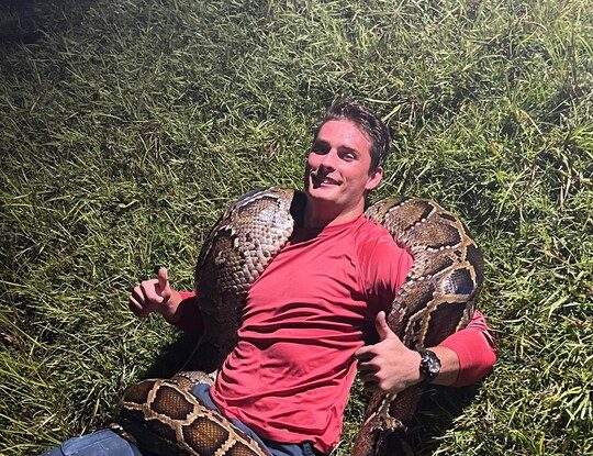 VIDEO. Momentul în care un piton de 6 metri și 56 de kilograme, un record, a fost prins într-o mlaștină din Florida
