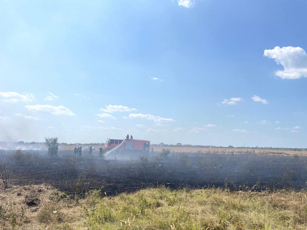 FOTO-VIDEO. Incendiu de vegetație lângă București. Pompierii, chemați să intervină pentru a doua zi consecutiv