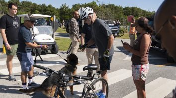 Bubico, șezi mumos! Agenții Secret Service se plâng că îi mușcă ciobănescul german al lui Joe Biden