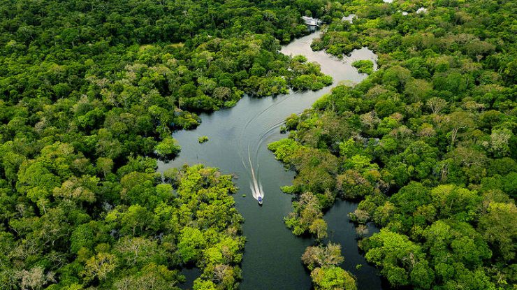 Planeta a pierdut peste 41.000 de km pătrați de pădure tropicală în 2022. Ce spun experții