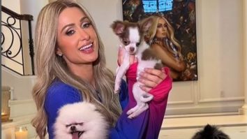 Paris Hilton, criticată după ce a cumpărat un nou cățel Chihuahua: „Dacă vrei să aduci un animal în viața ta, adoptă dintr-un adăpost”