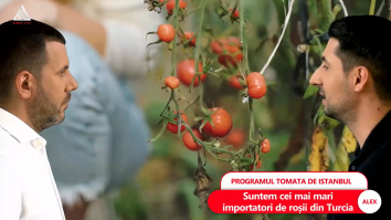 România este cel mai mare importator de roșii din Turcia. 35% din veniturile lunare ale românilor se duc pe mâncare