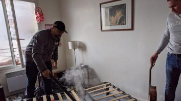 Atacul ploșnițelor. Una din zece case din Franța este infestată