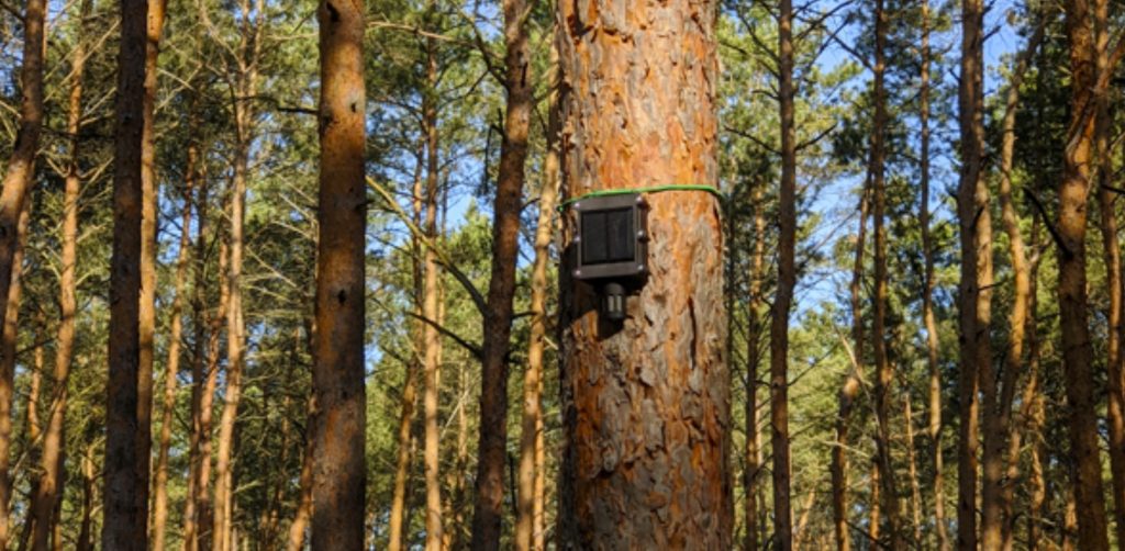 Au apărut senzorii dotați cu inteligență artificială care depistează în timp record incendiile naturale. Cum funcționează tehnologia