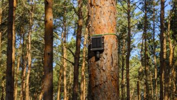 Au apărut senzorii dotați cu inteligență artificială care depistează în timp record incendiile naturale. Cum funcționează tehnologia