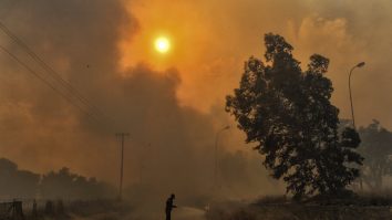 Cum arată Grecia după incendii. Ministrul grec al Apărării, Nikos Dendias, a deschis o anchetă asupra incidentului