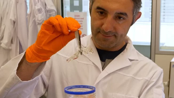O nouă metodă de scanare cu șoareci transparenti ar putea revoluționa testarea medicamentelor împotriva cancerului