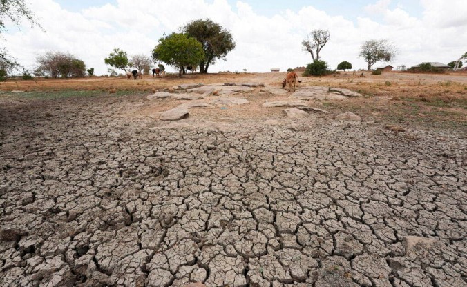 ONU, avertisment după noile recorduri de temperatură: „Terra este la un pas de catastrofă”