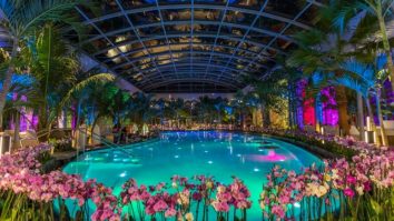 Cele mai spectaculoase parcuri acvatice din lume. „Top of mind este Siam Park. Are tobogan care trece pe sub bazine cu rechin”