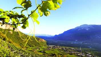 Destinații de vacanță pentru iubitorii de vin. Unde găsești cele mai impresionante crame și podgorii