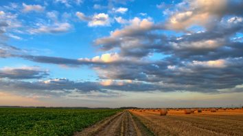 Arșița din România a trecut, de acum vin vijeliile