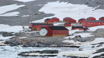 Oamenii de știință avertizează că Antarctica ar putea deveni „radiatorul” planetei din cauza temperaturilor „extreme”