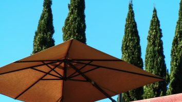 Cum să îți îmbunătățești ambianța grădinii tale