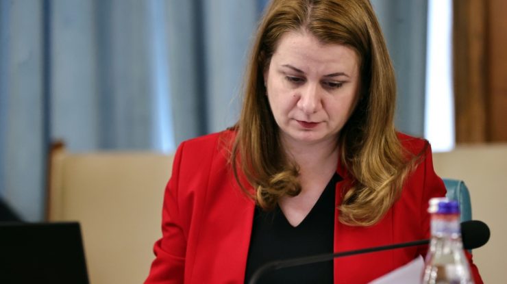 Ligia Deca anunță un program-pilot pentru activități remediale, din 2024