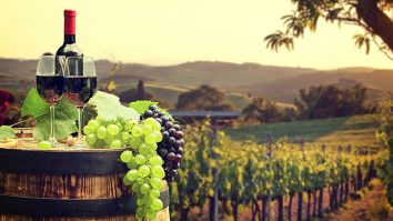 Criza climatică amenință podgoriile. Gabriel Roceanu: „Obiceiurile de consum s-au schimbat foarte rapid de la un sezon la altul”