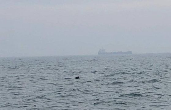 Explozie în zona digului din fața Hotelului Forum în Costinești. Poate fi o mină marină