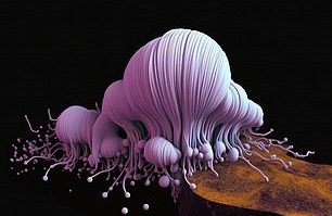 Cum arată orgasmul în versiunea A.I? 10 oameni au participat la studiu și fiecare a primit câte o jucărie sexuală