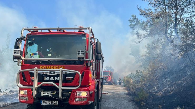 VIDEO. Incendiile de vegetație au scăpat de sub control. Focul amenință să cuprindă locuințele din Atena