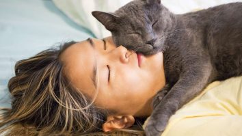 Este bine sau nu să dormi cu pisica în pat? Specialiștii îți spun care sunt beneficiile și riscurile