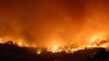 Canadienii nu pot împărtăși informații vitale despre incendiile de vegetație. Interdicția de știri de pe Meta îi împiedică să comunice despre situația devastatoare