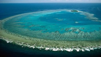 Temperaturile extreme distrug Marea Barieră de Corali din Australia. Un nou episod de albire ar putea avea loc curând