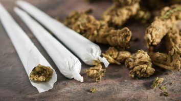 Pierde România lupta cu drogurile? Mihaela Popa: „Agenția Națională AntiDrog trebuie total reorganizată. Așa cum este organizată acum, nu a dat rezultate”