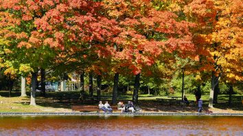 N-a venit toamna. Cât te mai bucuri de vară – prognoza meteo pentru următoarele patru săptămâni