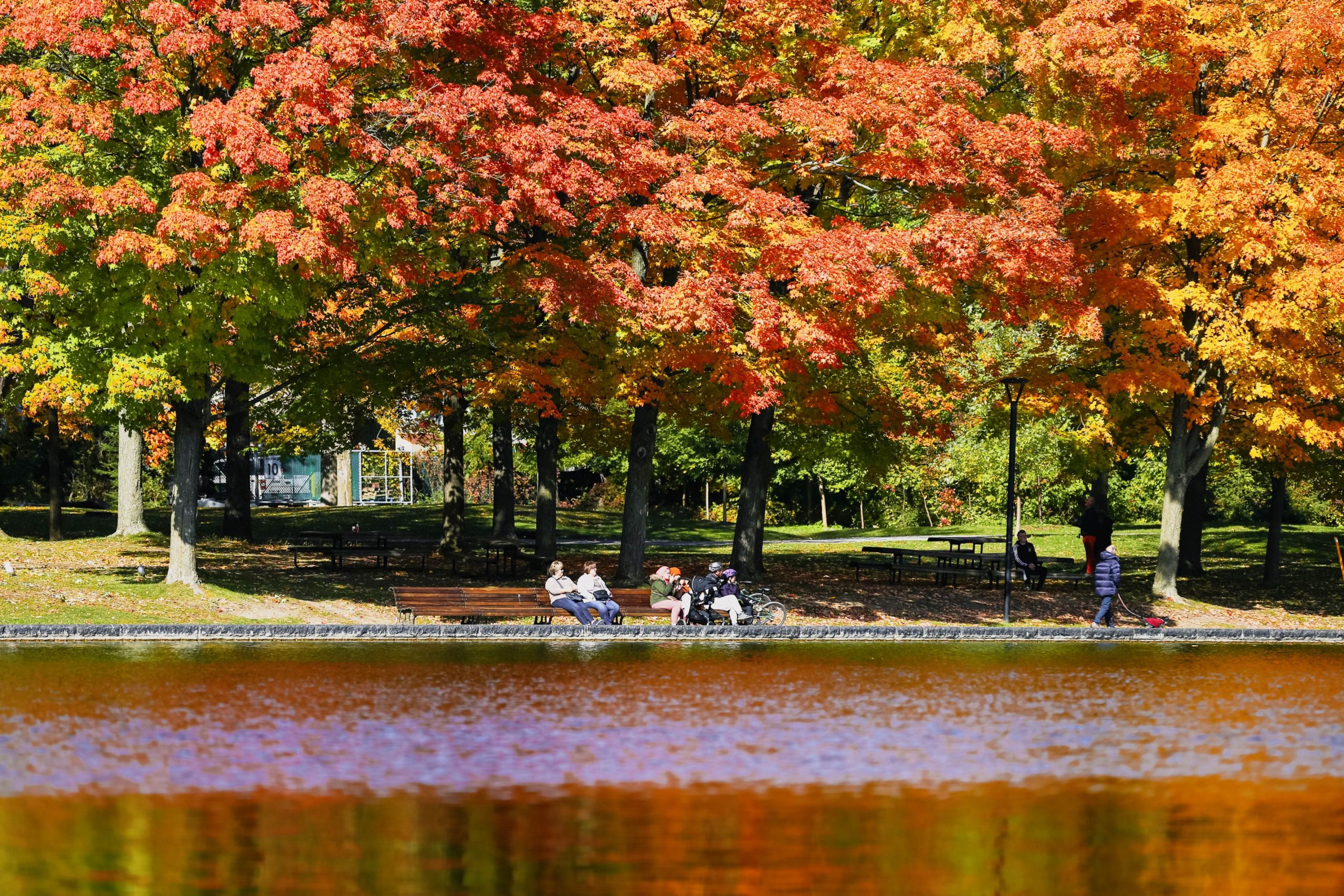 N-a venit toamna. Cât te mai bucuri de vară – prognoza meteo pentru următoarele patru săptămâni