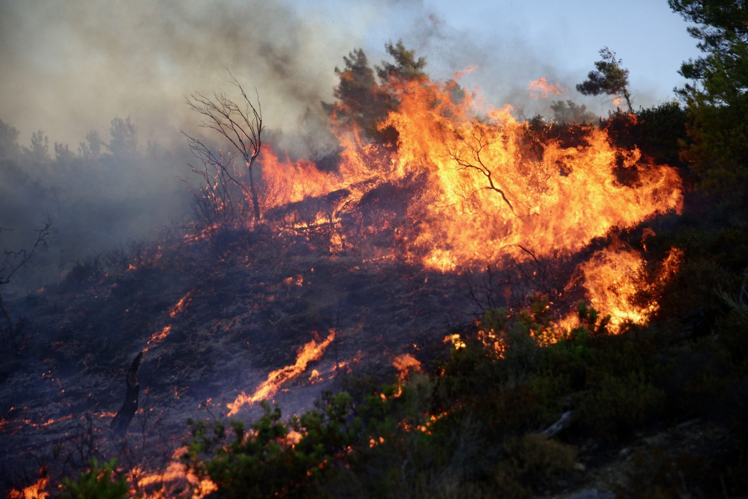 Incendiile din Grecia se înmulțesc. Koudunis: unele incendii au fost pornite de către oameni