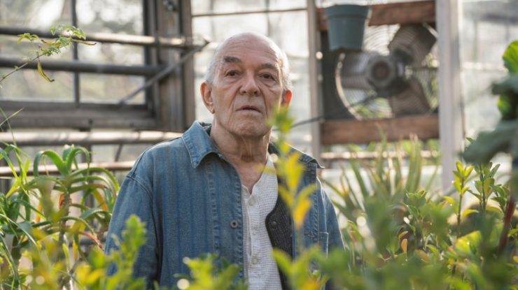 Mark Margolis, actorul din „Breaking Bad” și „Better Call Saul”, a murit. Avea 83 de ani
