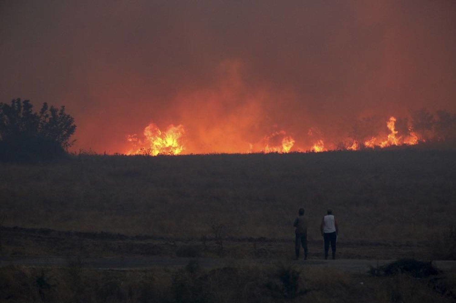 Pădurea din nordul Alexandroupolisului arde de la un capăt la altul. Nikos Koudunis: „Turiștii trebuie să asculte autoritățile pentru a evita să se apropie de incendiile respective”