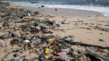 Marea Neagră e poluată cu PET-uri. Octavian Berceanu: „Avem nevoie de o instituție echipată corespunzător care să se ocupe de această problemă”