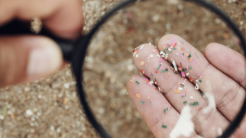Nouă tipuri de particule de microplastic au fost găsite la nivelul țesutului cardiac. Fragmentele au pătruns în corp prin gură sau nas